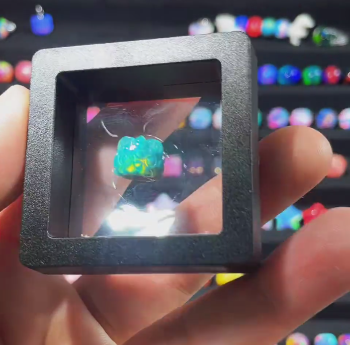 Dedicated link for【Live checkout】